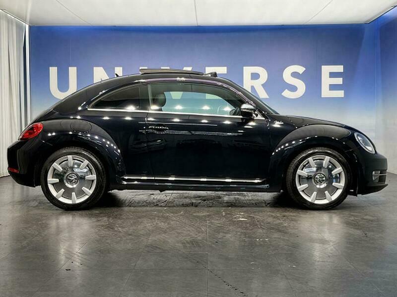 THE BEETLE