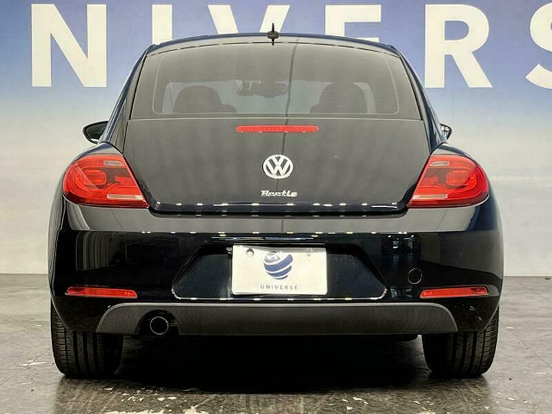 THE BEETLE