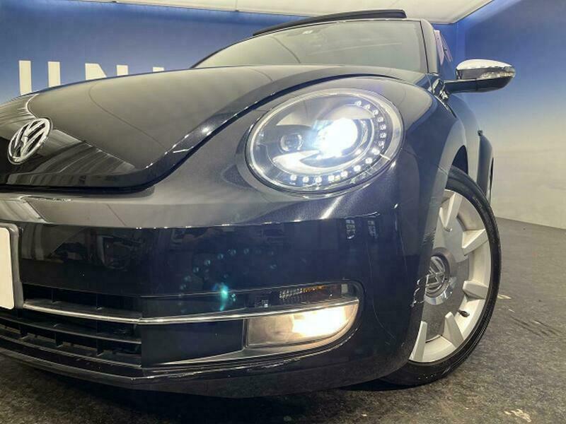 THE BEETLE