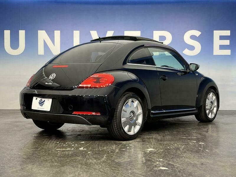 THE BEETLE