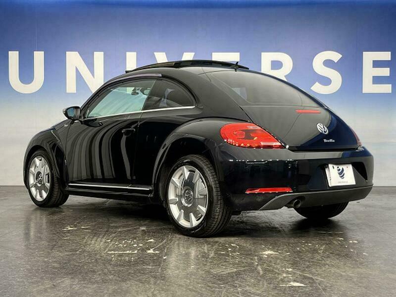 THE BEETLE