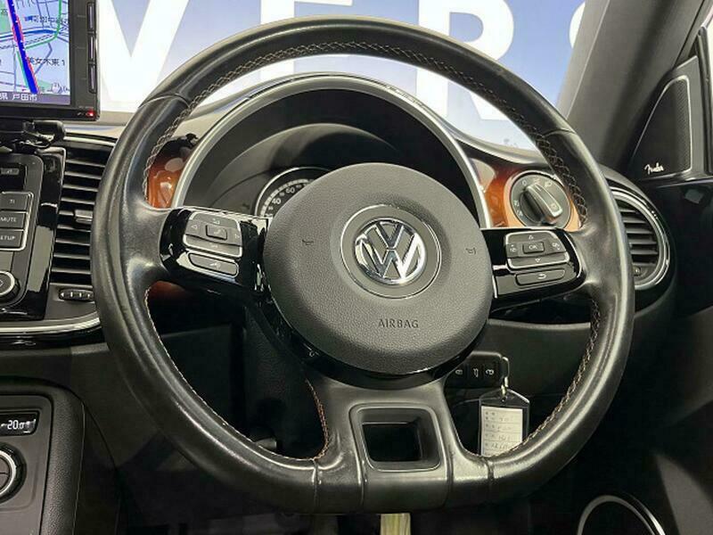 THE BEETLE