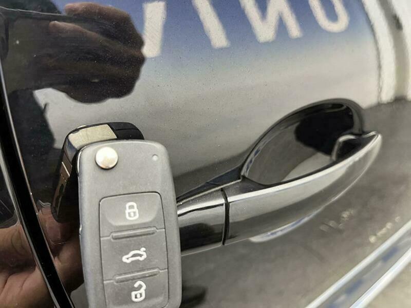 THE BEETLE