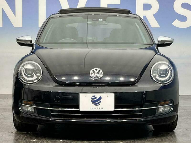 THE BEETLE