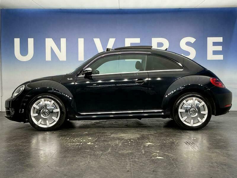 THE BEETLE