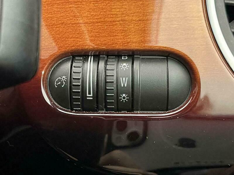 THE BEETLE