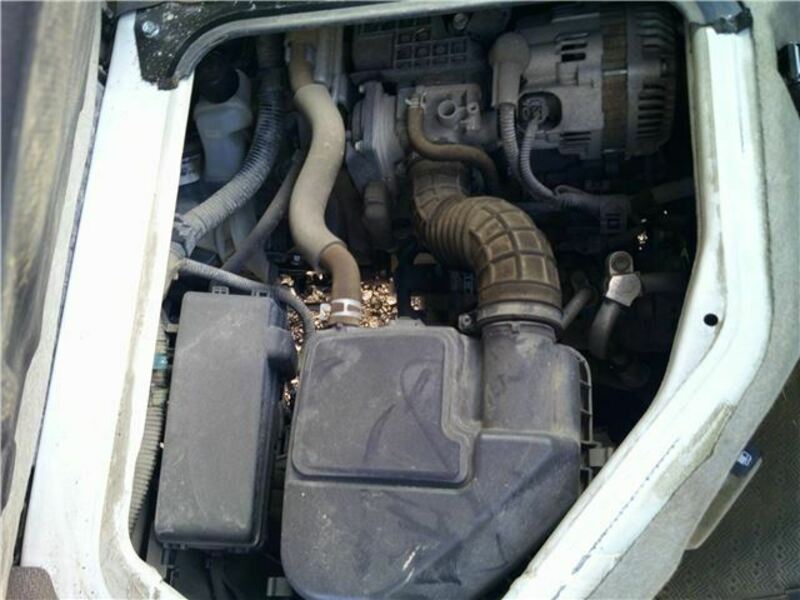 CLIPPER VAN