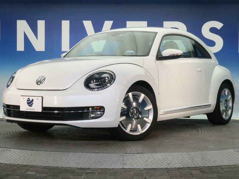 THE BEETLE