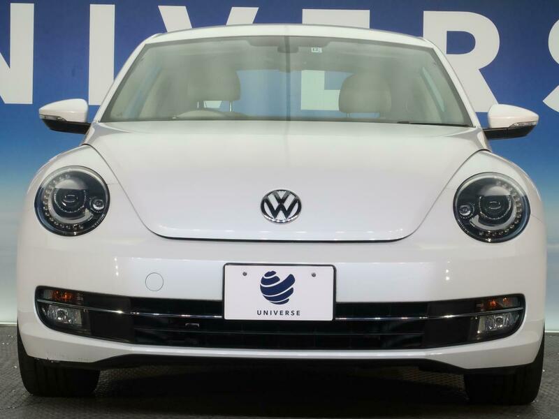 THE BEETLE
