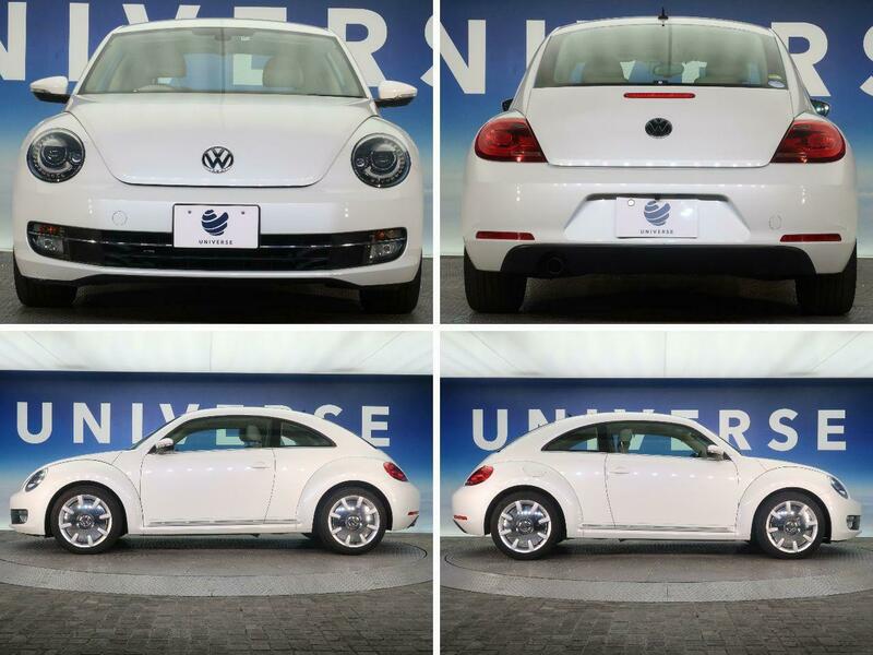 THE BEETLE