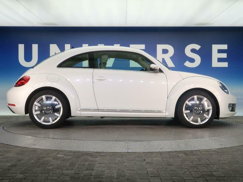 THE BEETLE