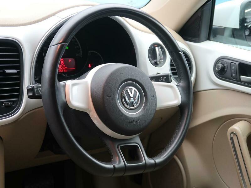 THE BEETLE