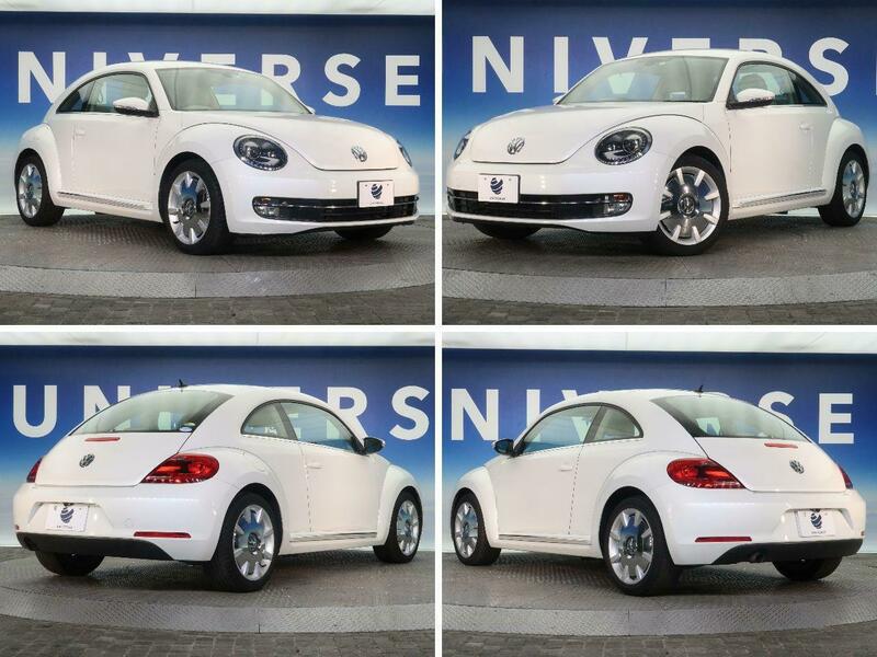 THE BEETLE