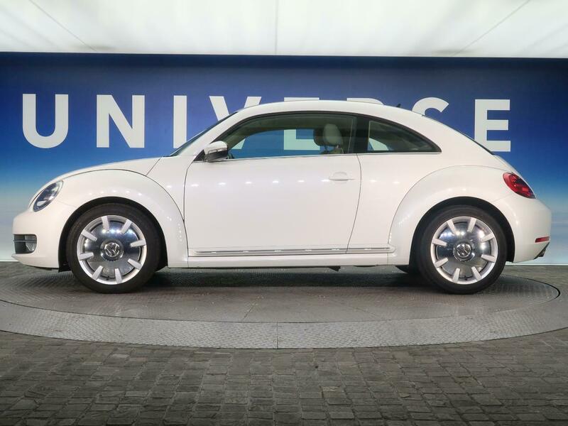THE BEETLE