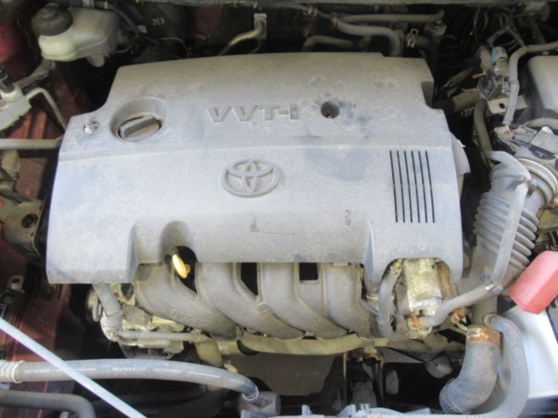 COROLLA RUMION