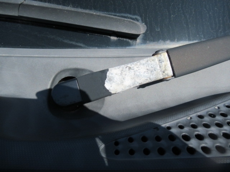 COROLLA RUMION