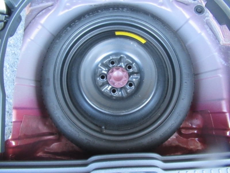 COROLLA RUMION