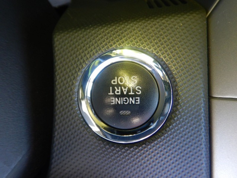AURIS