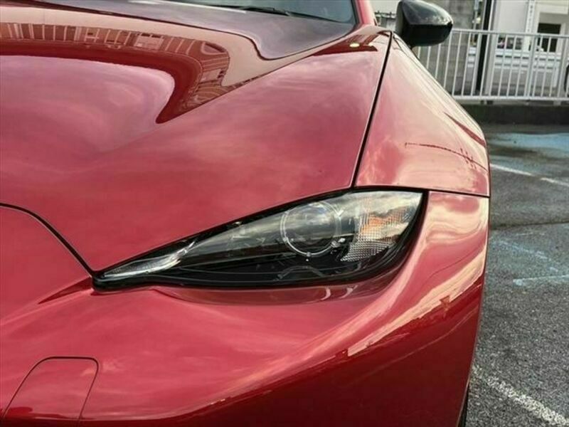 ROADSTER RF