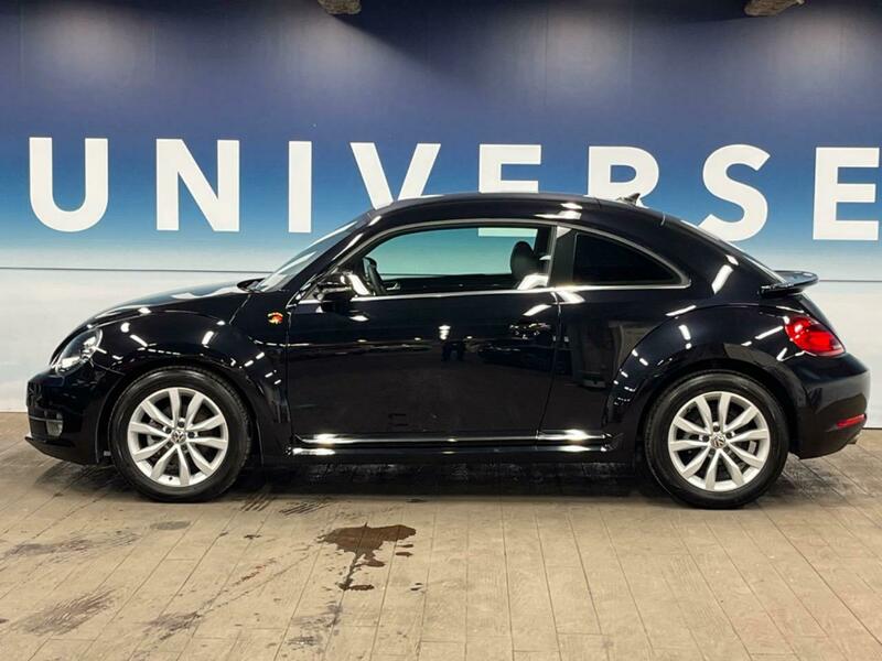 THE BEETLE