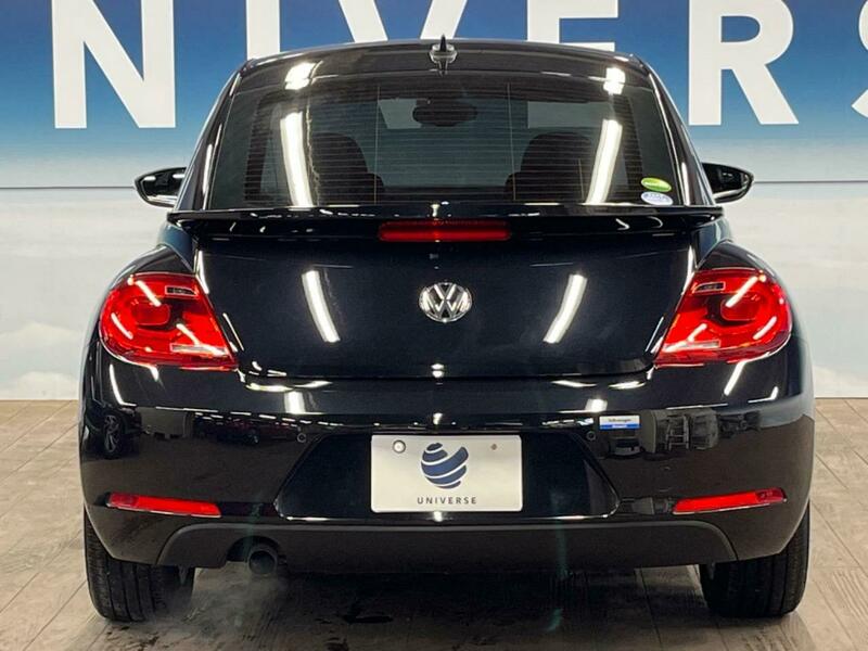 THE BEETLE