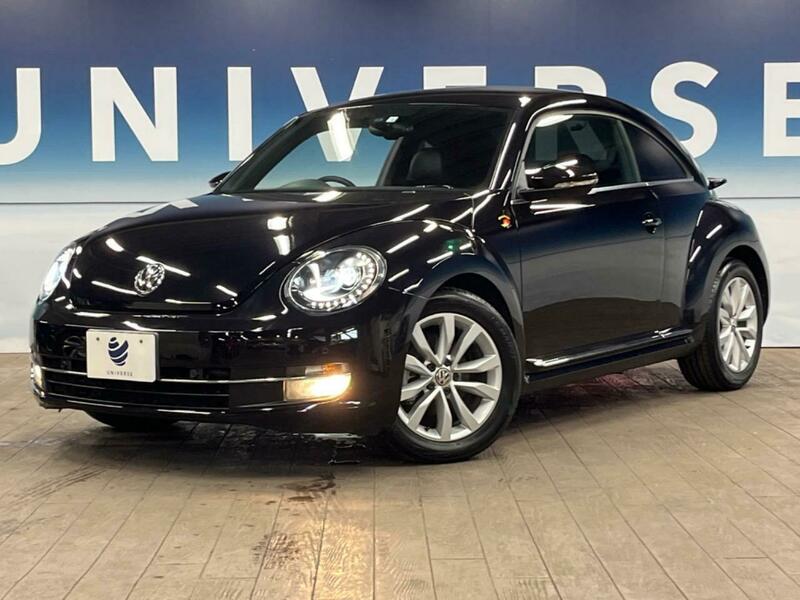 THE BEETLE