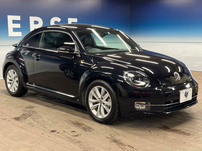THE BEETLE