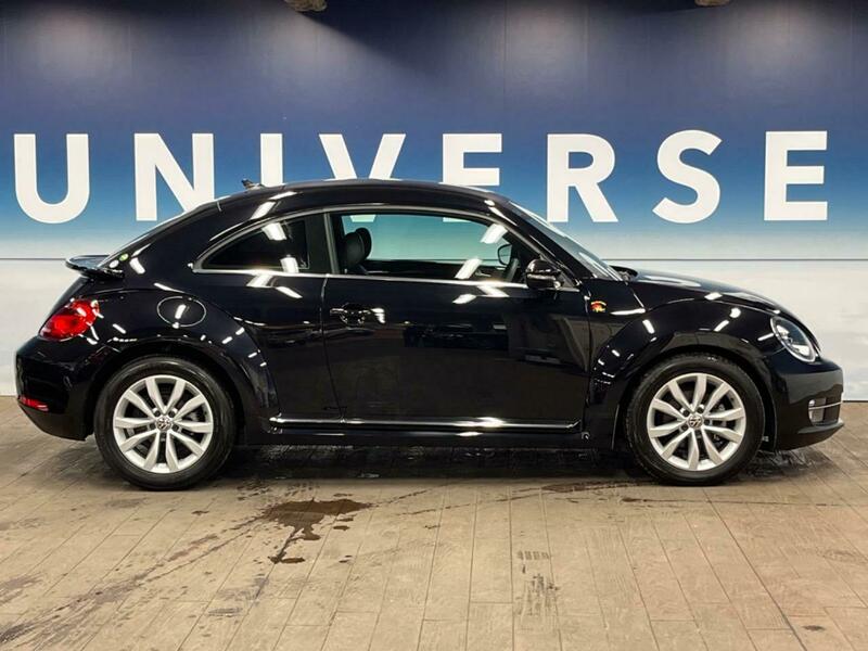 THE BEETLE