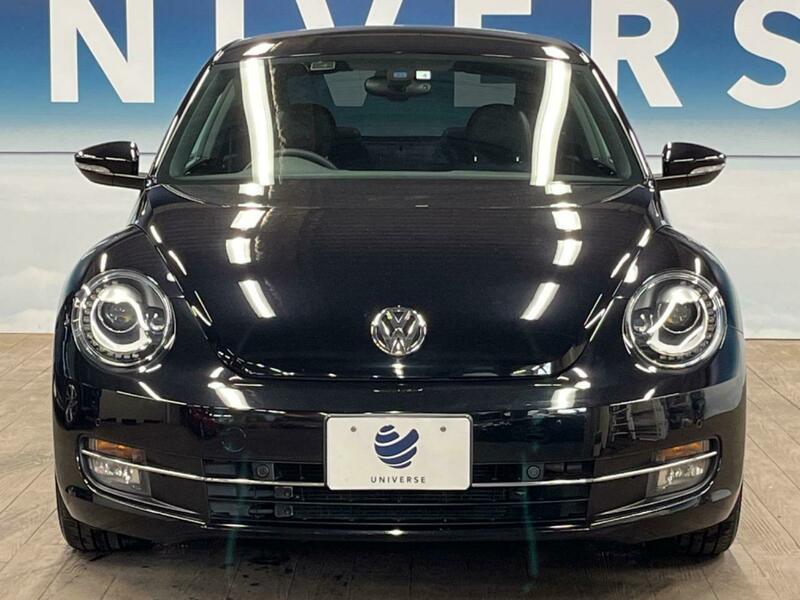 THE BEETLE