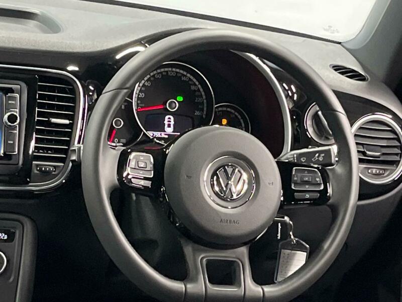 THE BEETLE