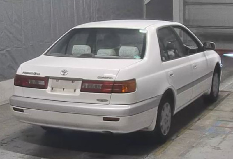 CORONA PREMIO-36