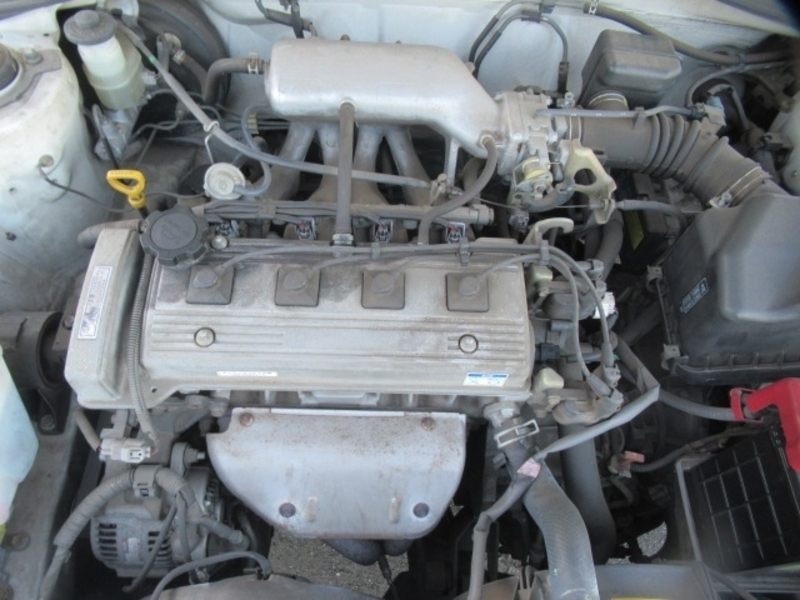CORONA PREMIO-4