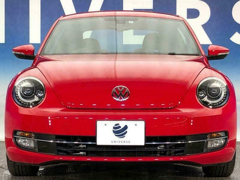 THE BEETLE