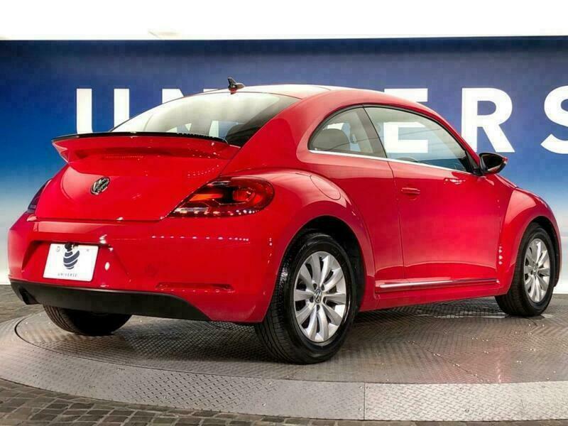 THE BEETLE