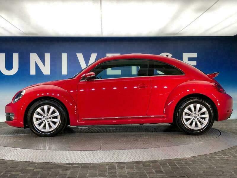 THE BEETLE