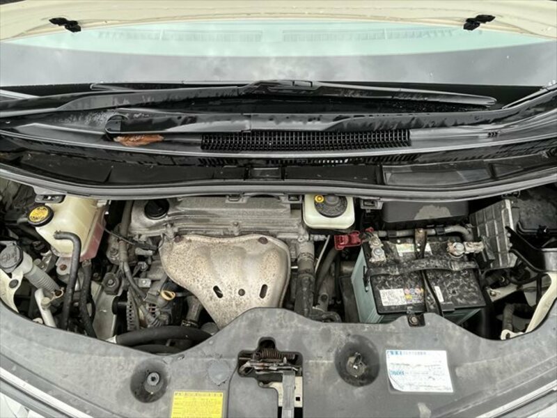 ALPHARD-6
