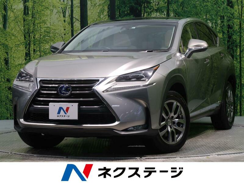 NX