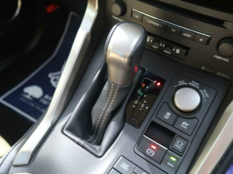 NX