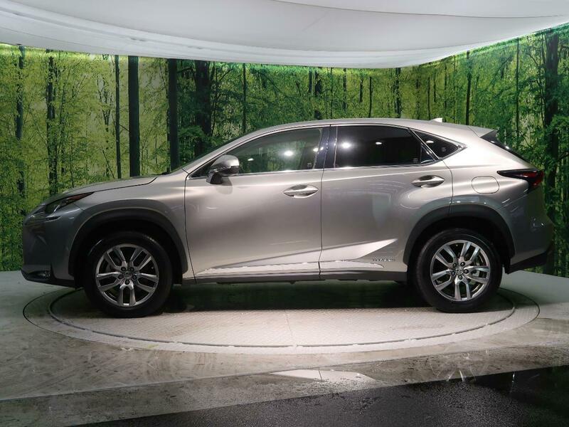 NX