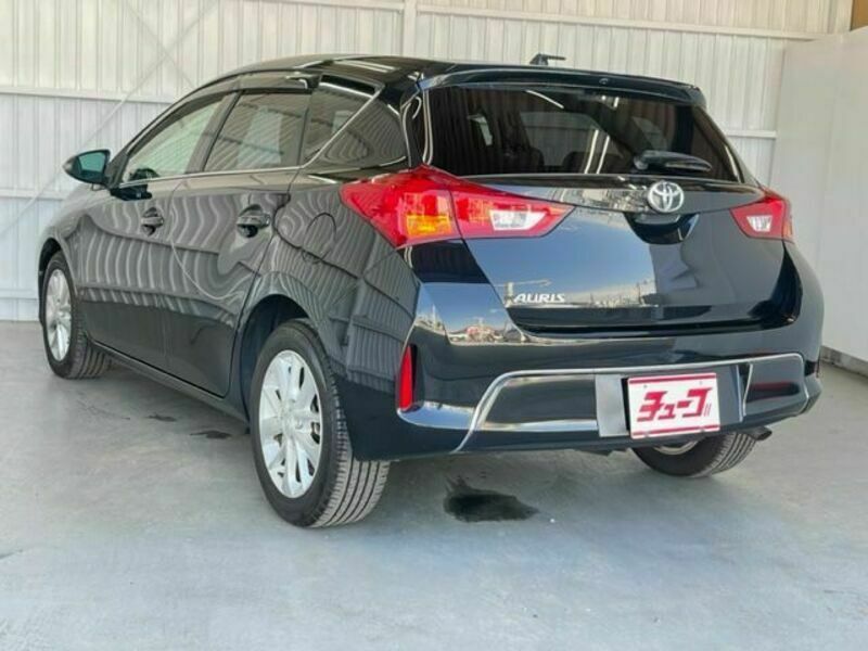 AURIS