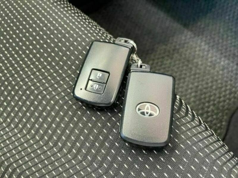 AURIS
