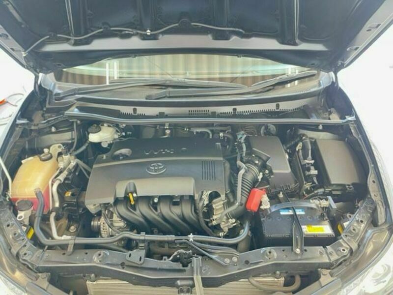 AURIS