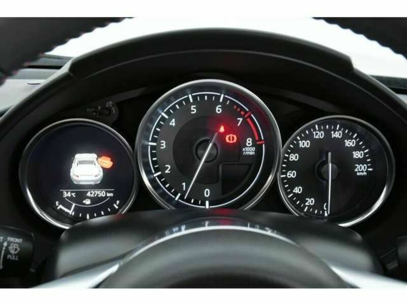 ROADSTER RF