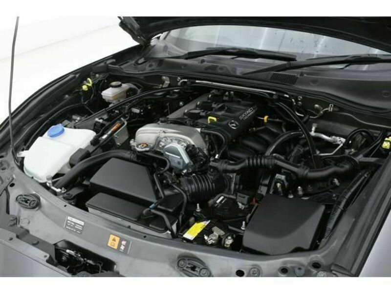 ROADSTER RF