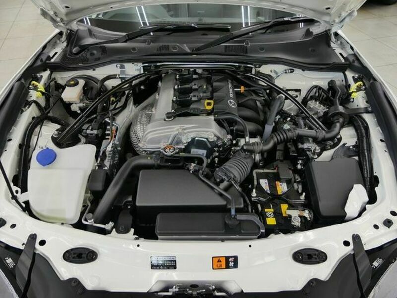 ROADSTER RF