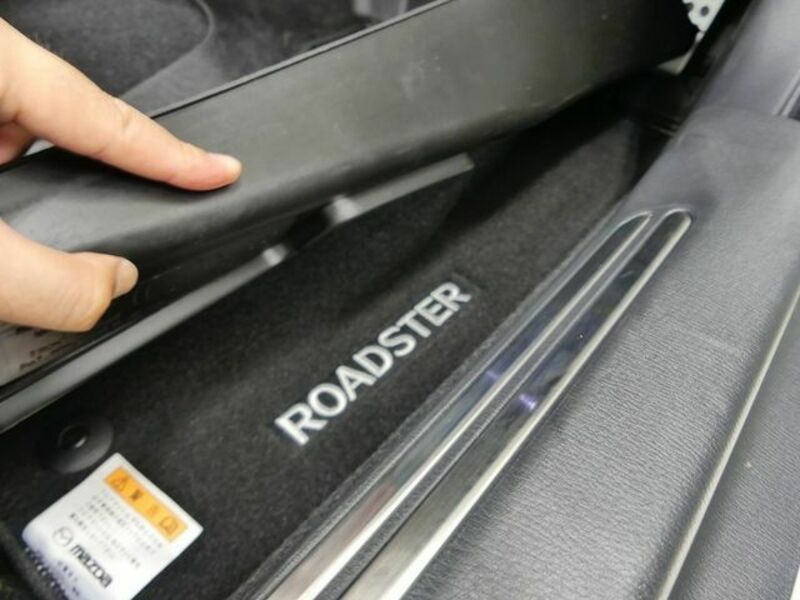 ROADSTER RF