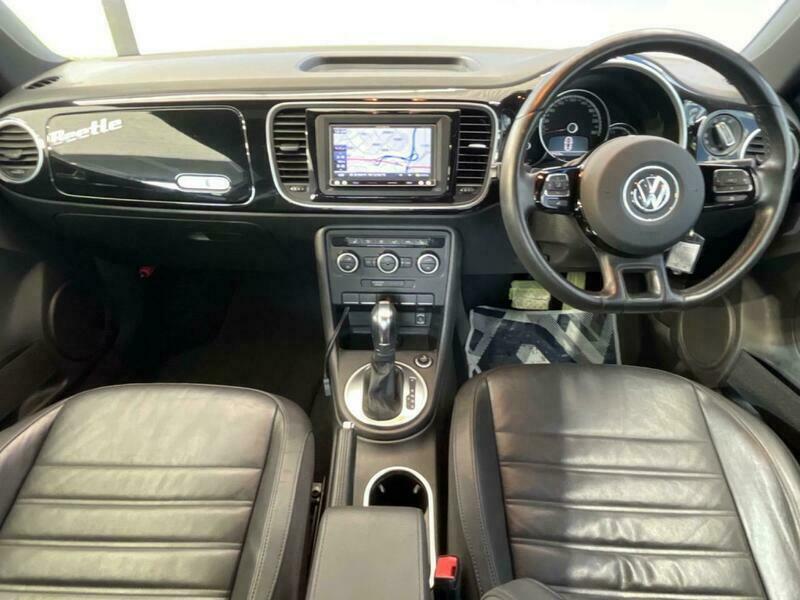 THE BEETLE