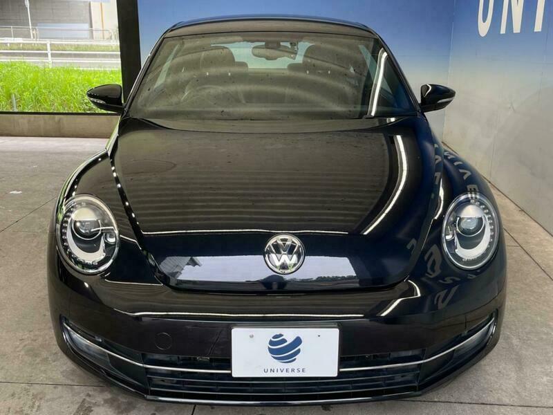 THE BEETLE
