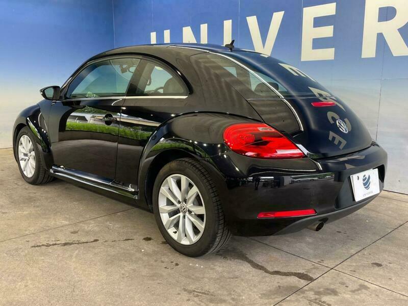 THE BEETLE