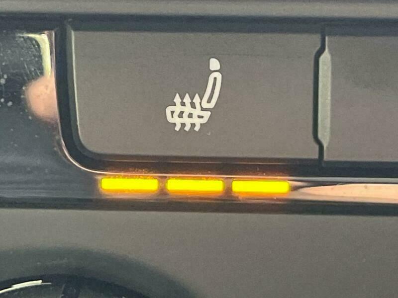 THE BEETLE